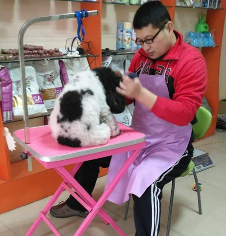 QQ图片20161222112936.jpg