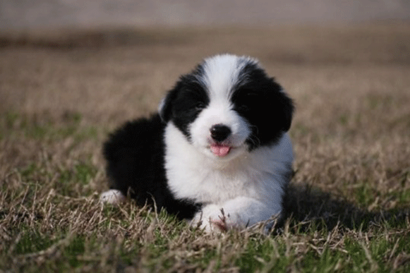 1514357444884801.gif kguyftui.gif