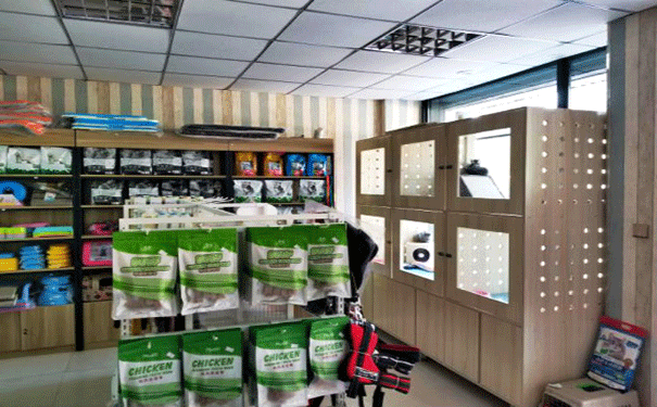 宠物店环境 宠物店环境